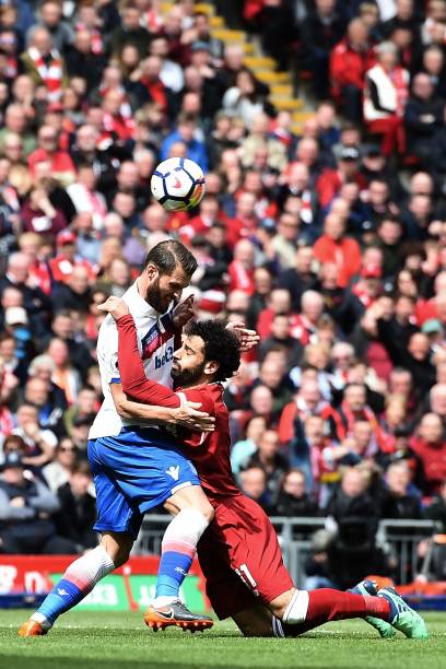 新鲜血液的 新鲜血液的